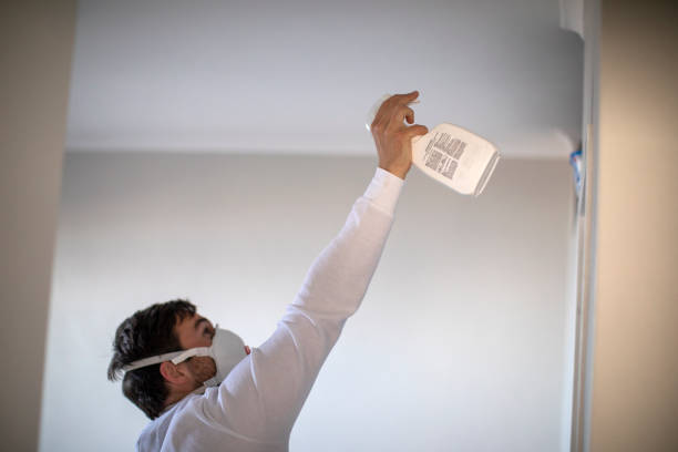 Professional Mold Removal in Savannah, TX