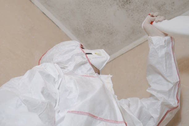 Best Professional Mold Removal  in Savannah, TX