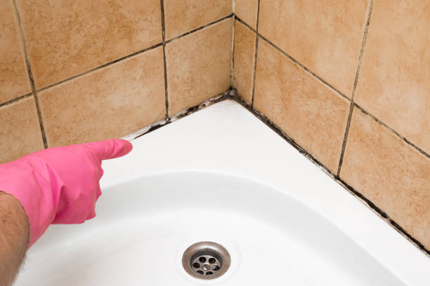 Best Emergency Mold Removal  in Savannah, TX